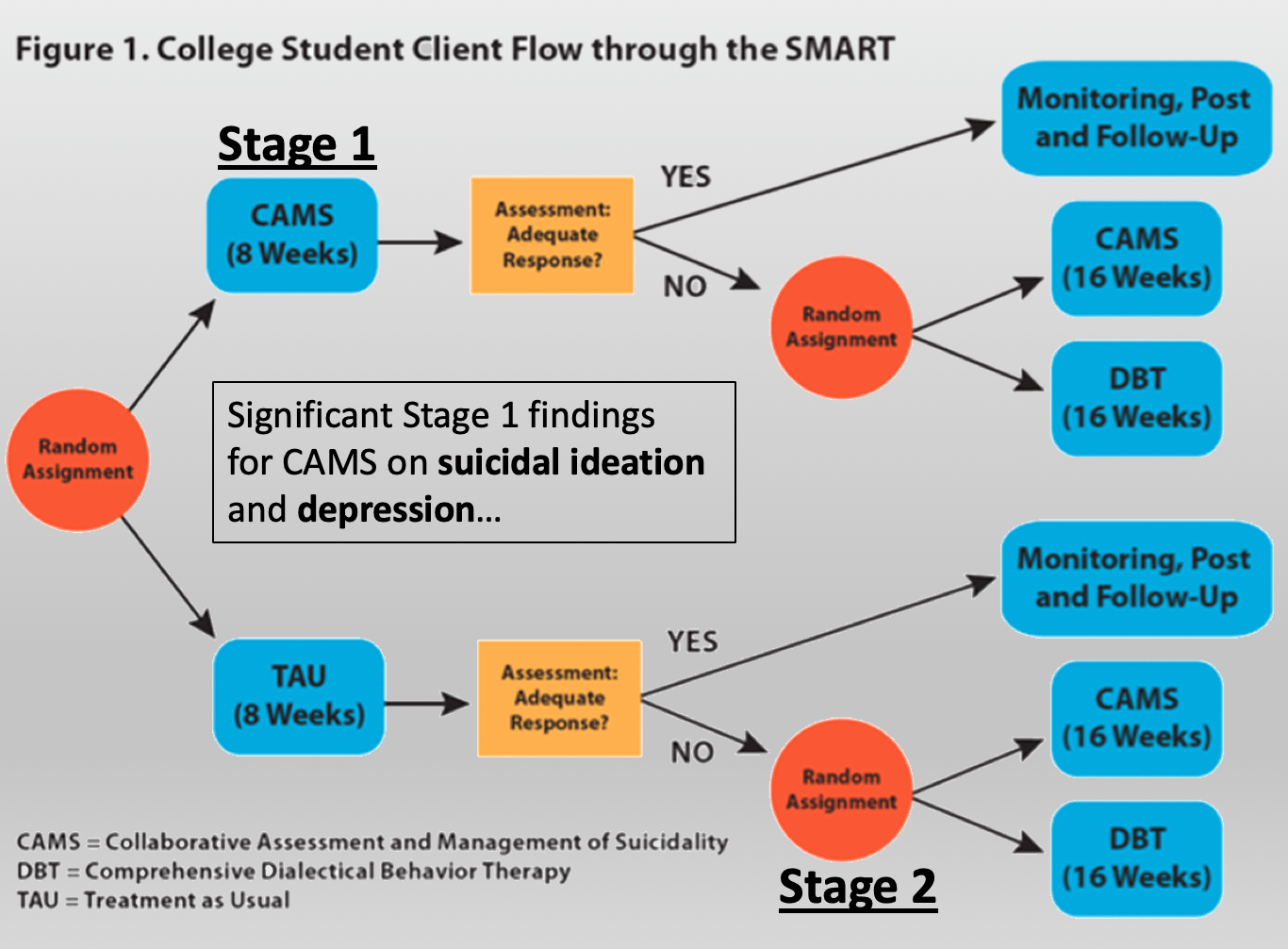 College Student Client Flow Through SMART; Full description appears after image.