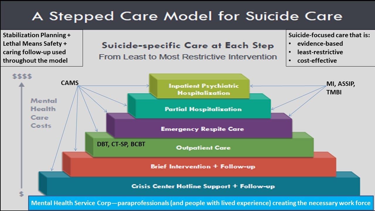 Suicidal Assessment Treatment One Size Does Not Fit All Part 3