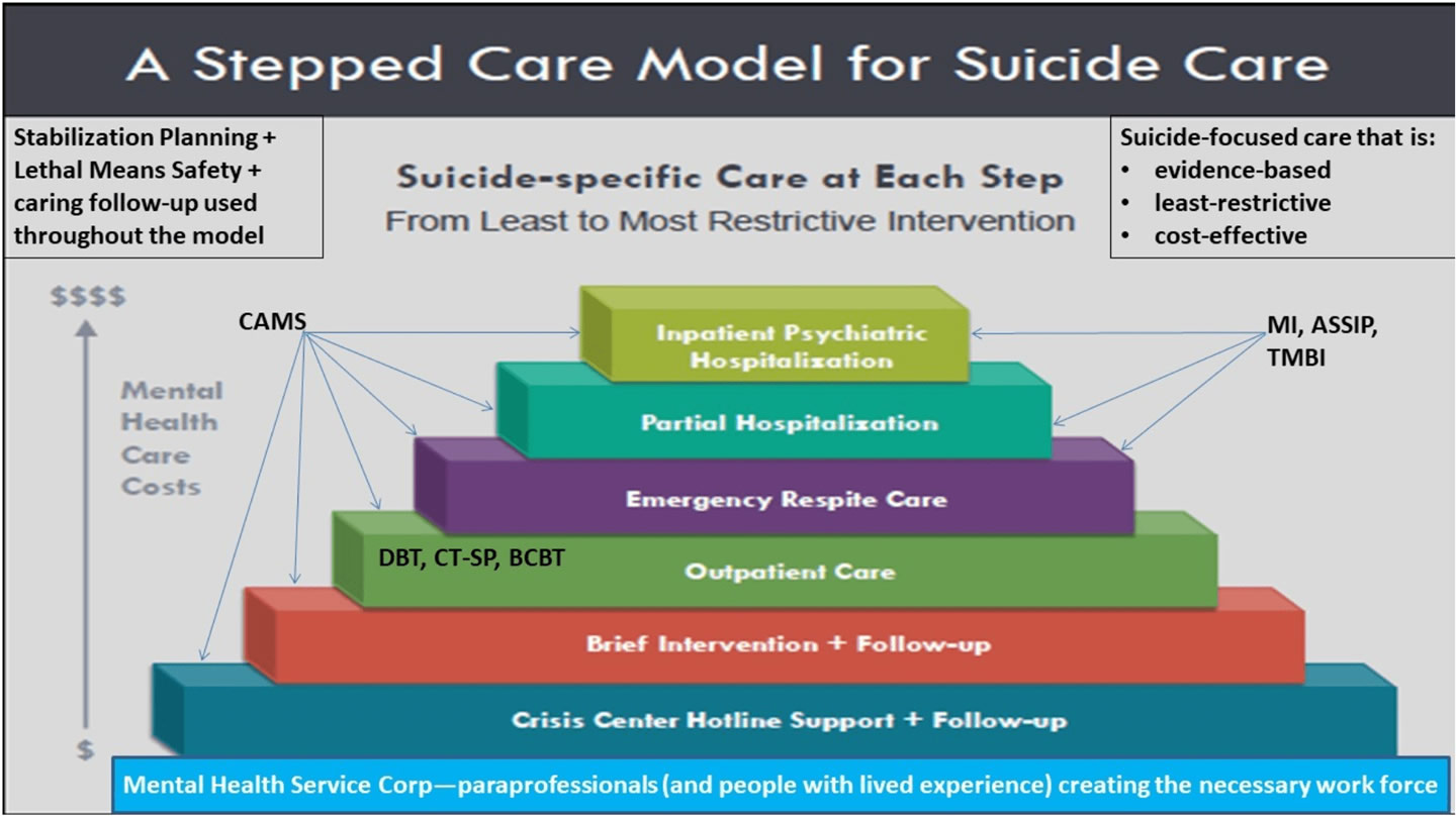 stepped care model