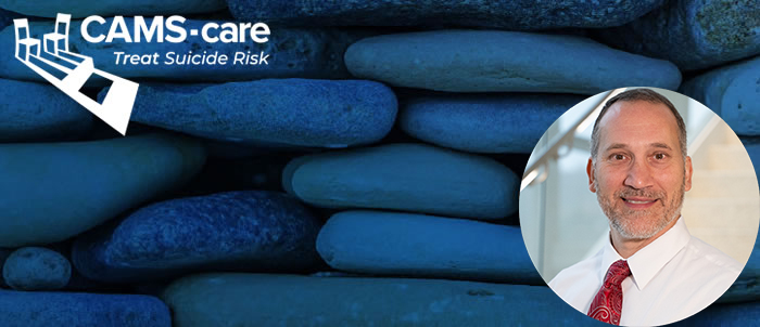 Healthcare System-based Case Formulation of Suicide Events after Acute Care