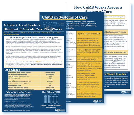 A State & Local Leader's Blueprint to Suicide Care That Works